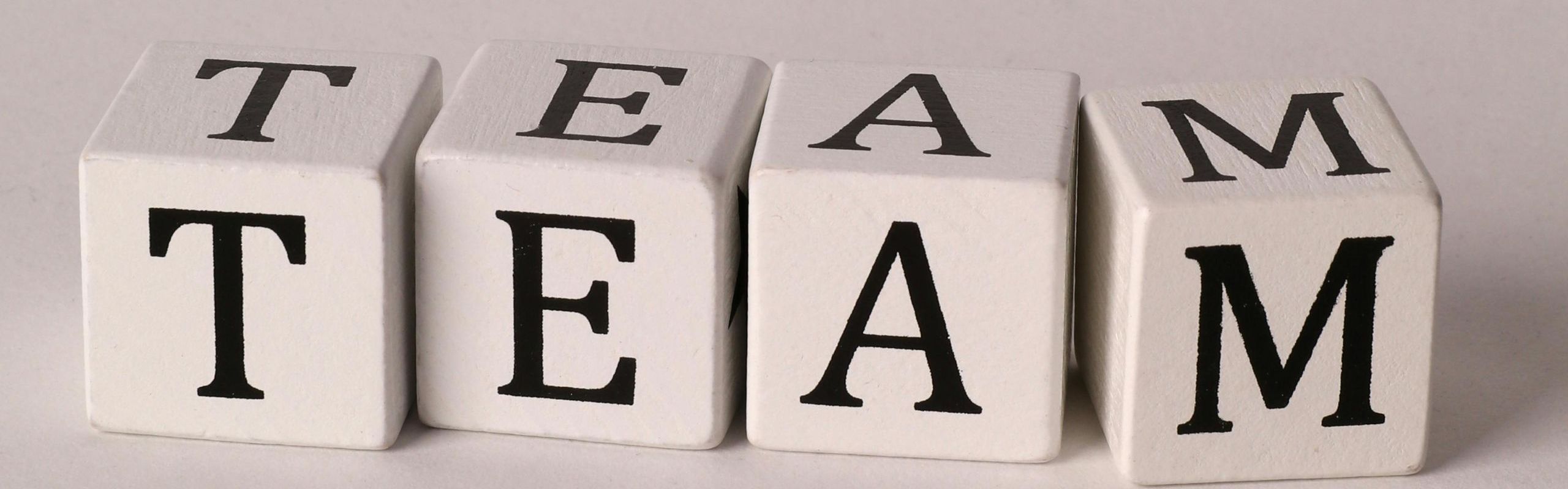 Foto di dadi con lettere che compongono la scritta "TEAM" sfondo grigio, dadi color panna
